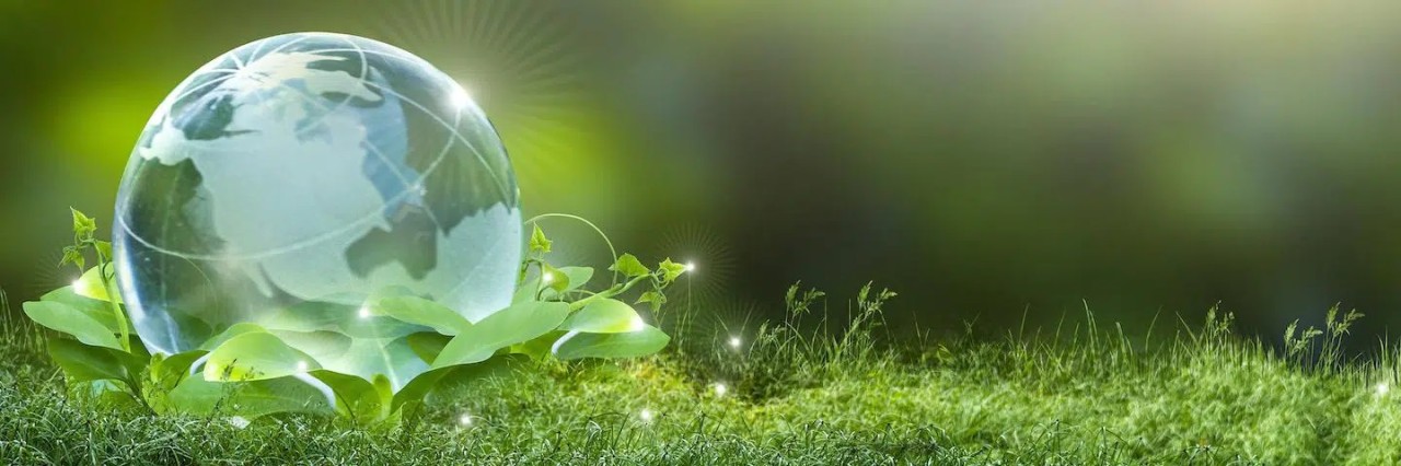Environmentally-Friendly